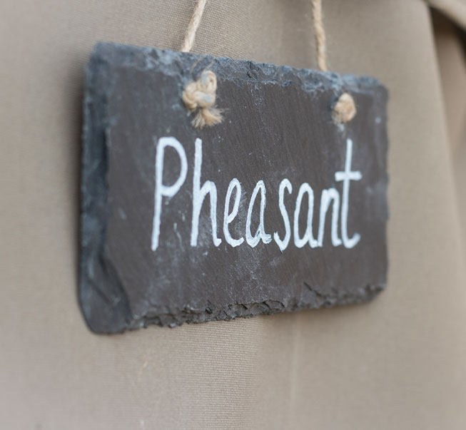 pheasant-square-1